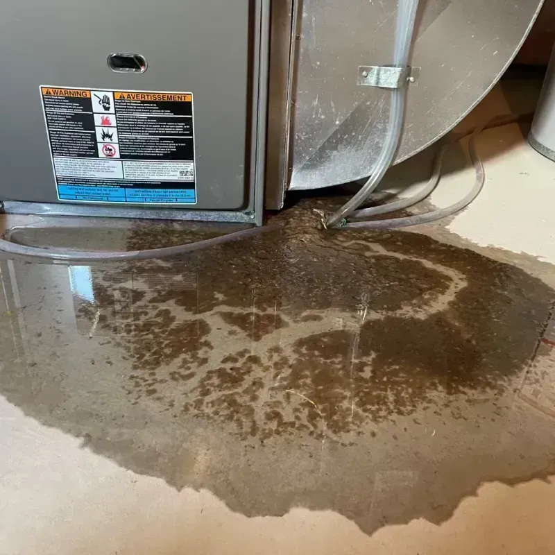 Appliance Leak Cleanup in Winthrop Harbor, IL